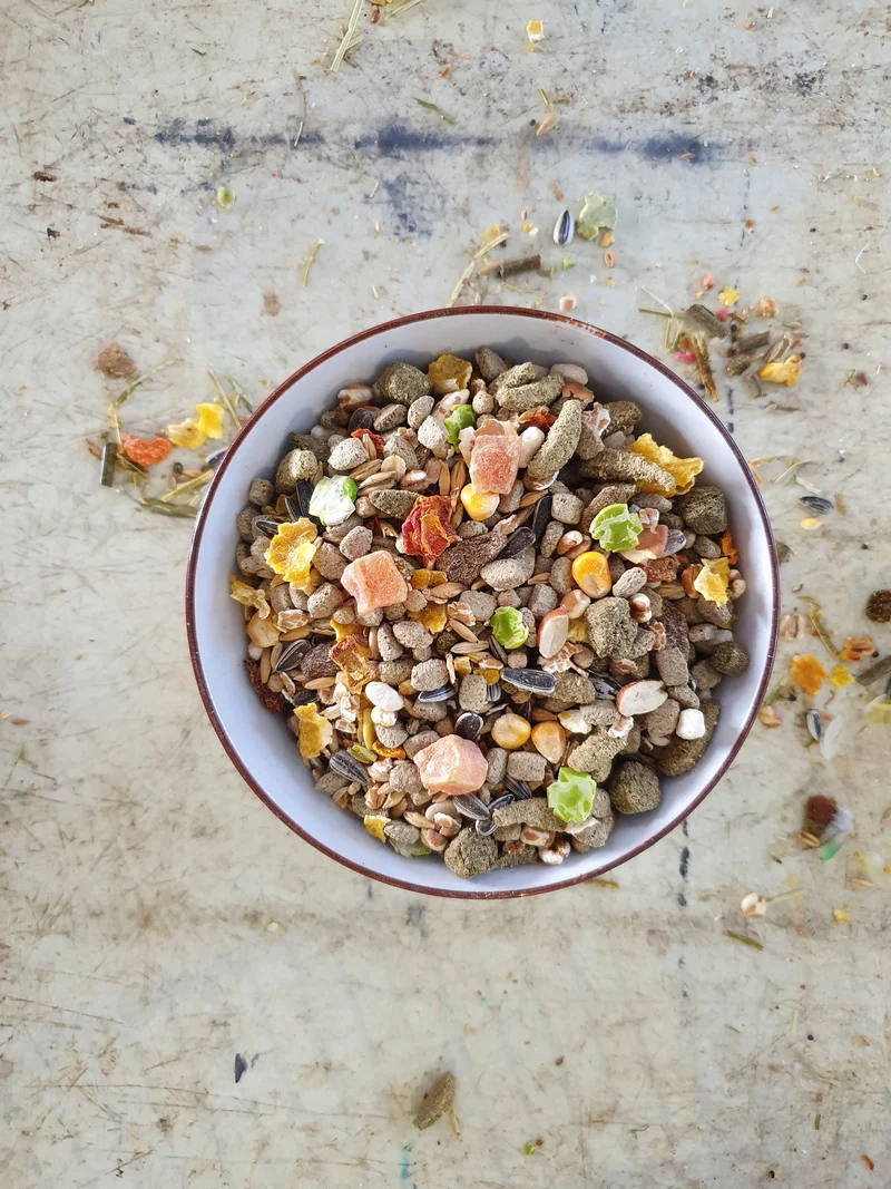 Nourriture Nature pour Rats - Versele Laga