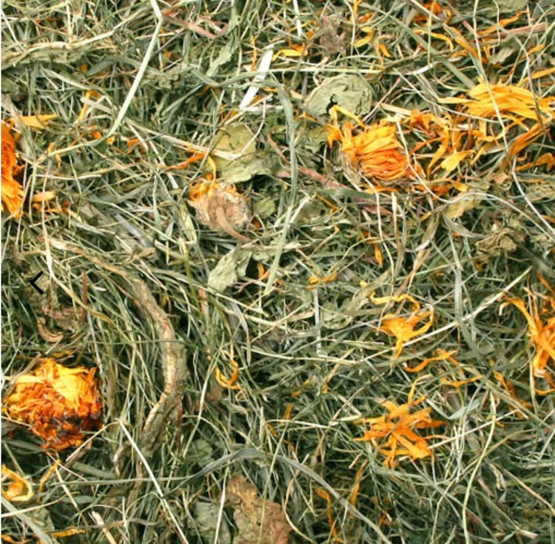 Fleur de pissenlit foin 500 grammes