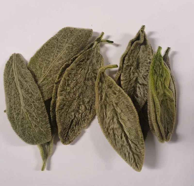 Tisane pour le foie (Soutien et protection du foie) 150 g - Mélange d'herbes pour oiseaux