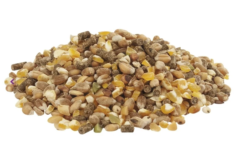 Country`s Best Gold 4 Mix Poulet Grain Avec Pellet De Pose 5 kg Standard - Versele Laga