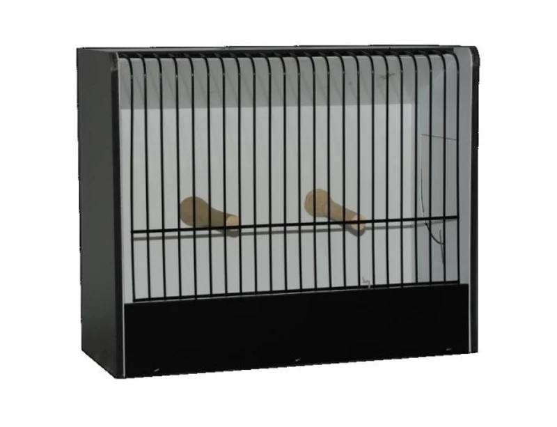 TT Cage Noir Canari