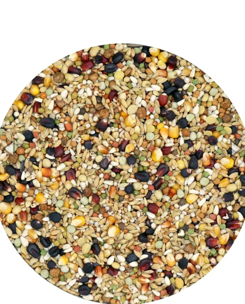 IC+ Black Label Junior Pigeon Aliment 20kg - Versele Laga