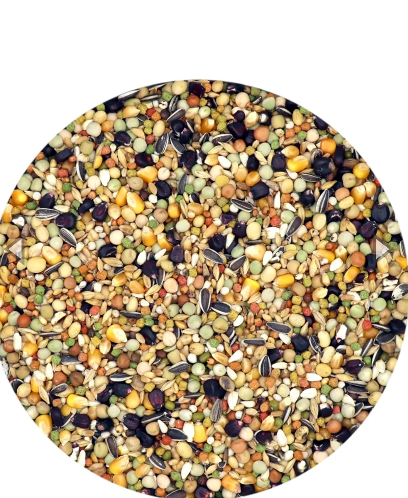 Plus IC + Mutine Black Label Pigeon Food 20 kg - Versele Laga