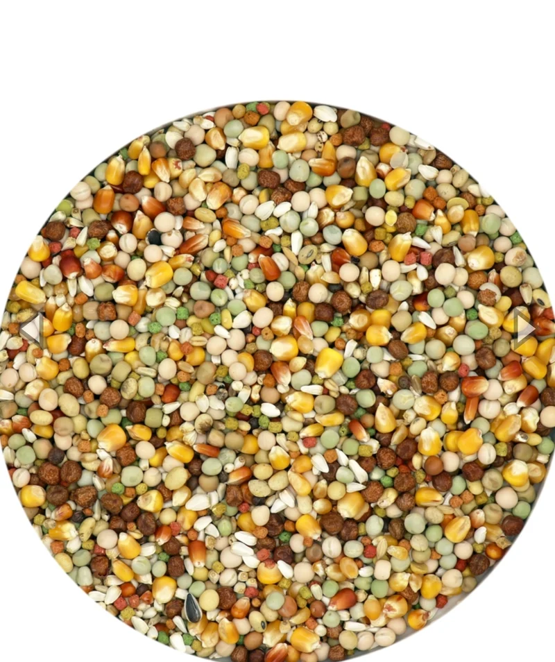 Plus IC+ Start Aliment pour Pigeons Reproducteurs 20 kg - Versele Laga