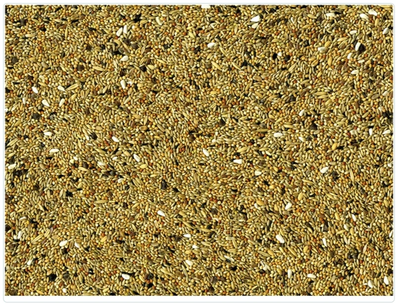Agapornis et Neophema 20kg - Vadigran