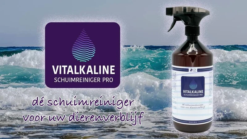 Nettoyant moussant Vitalkaline PRO 1L - Vita Vogel