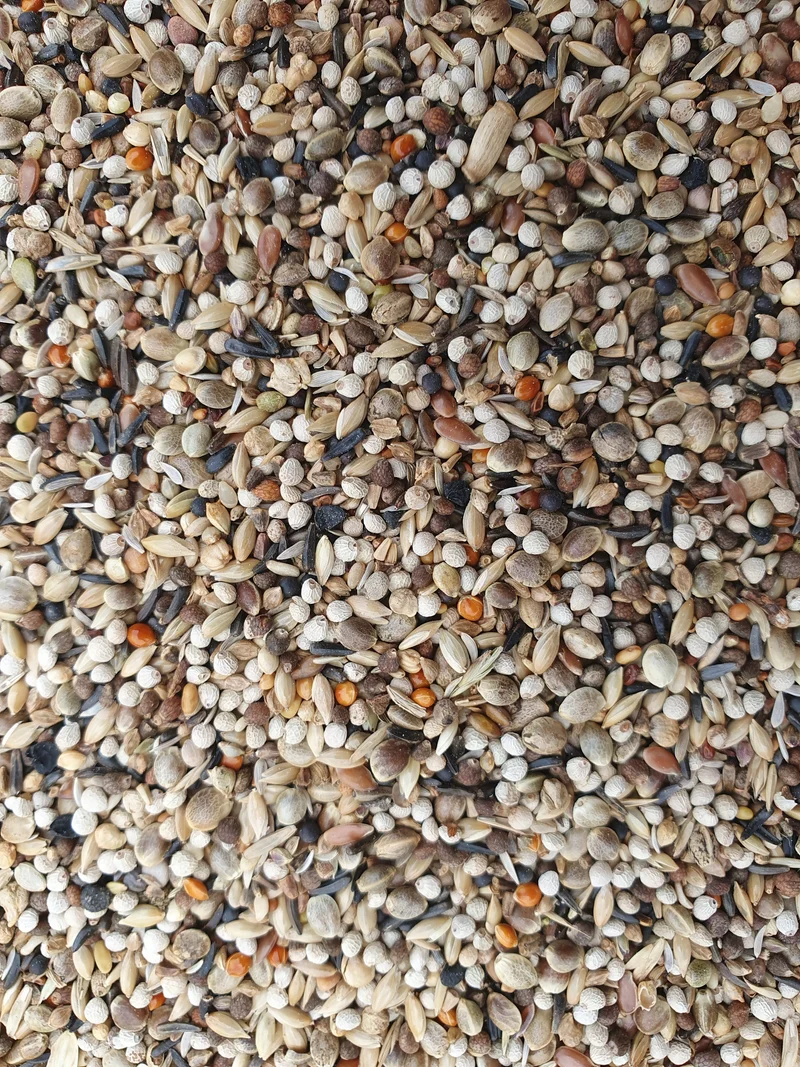Super RE Chardonnerets 20kg - Hobbyfarm Hoebregts