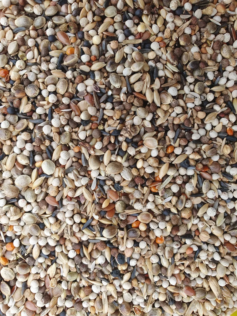 Super RE Chardonnerets 20kg - Hobbyfarm Hoebregts