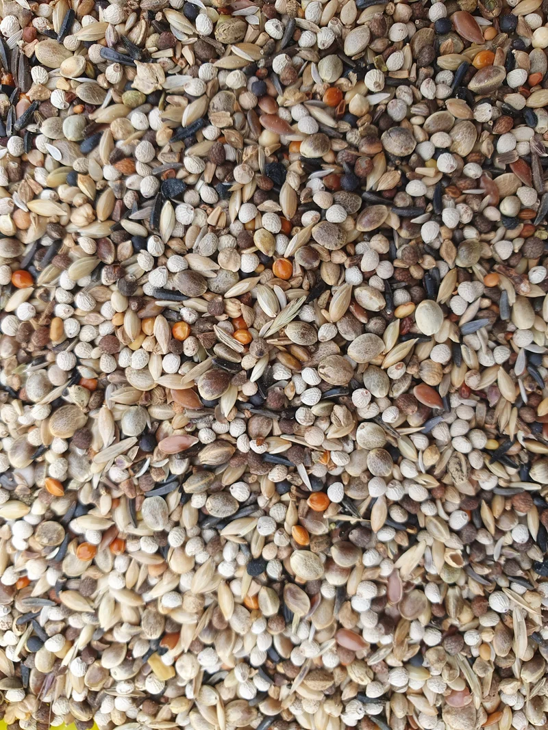 Super RE Chardonnerets 20kg - Hobbyfarm Hoebregts