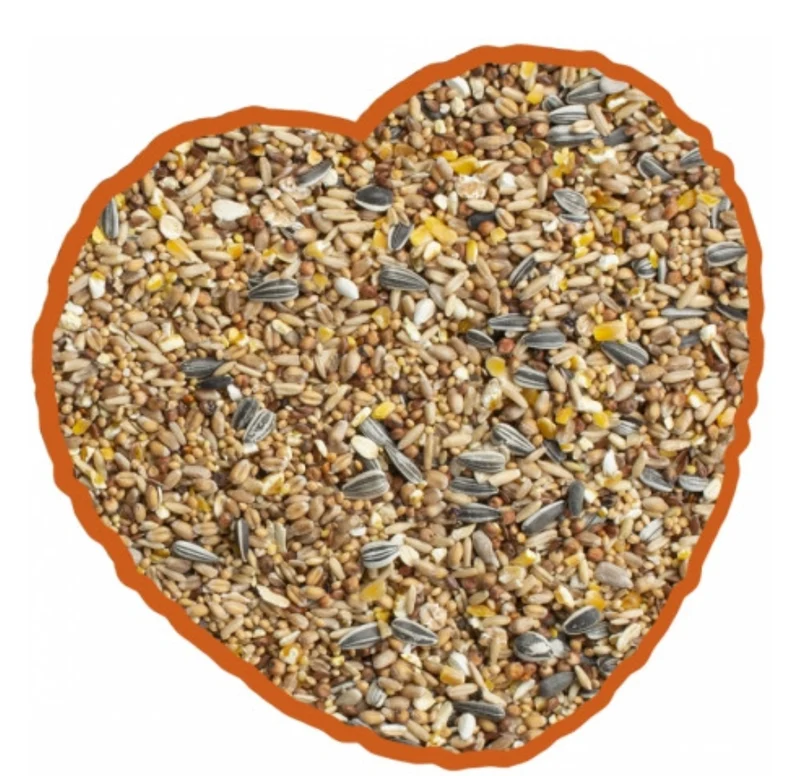 Garden Bird Mix 4 Saisons 20kg Duvo+