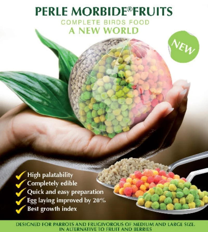Perle Morbide Fruit Vert 800 grammes