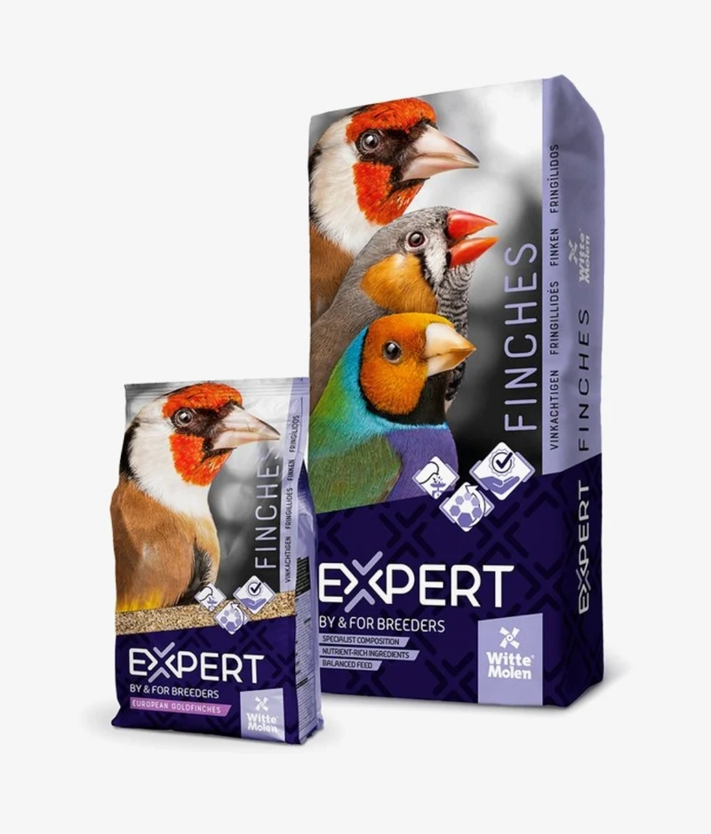 Putters Expert 2kg - Composition Haute Qualité