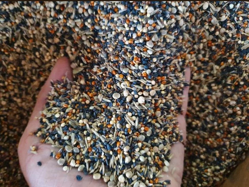 Graines santé 1kg Duvo+