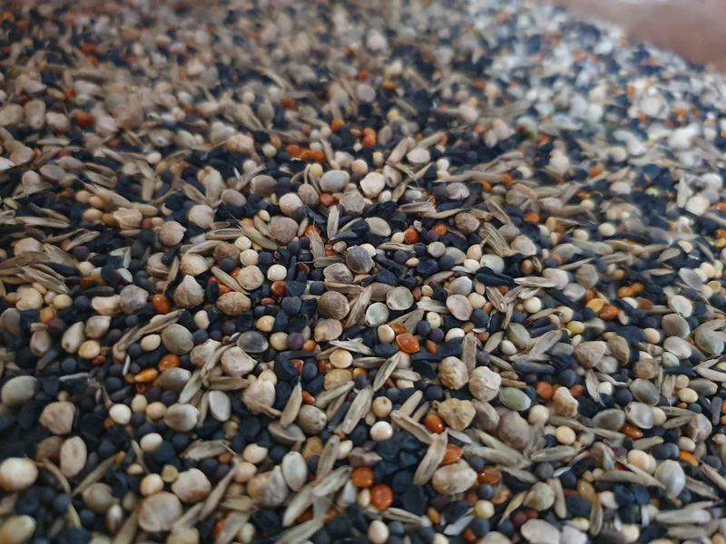 Graines santé 1kg Duvo+