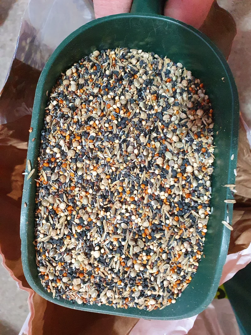 Graines santé 1kg Duvo+
