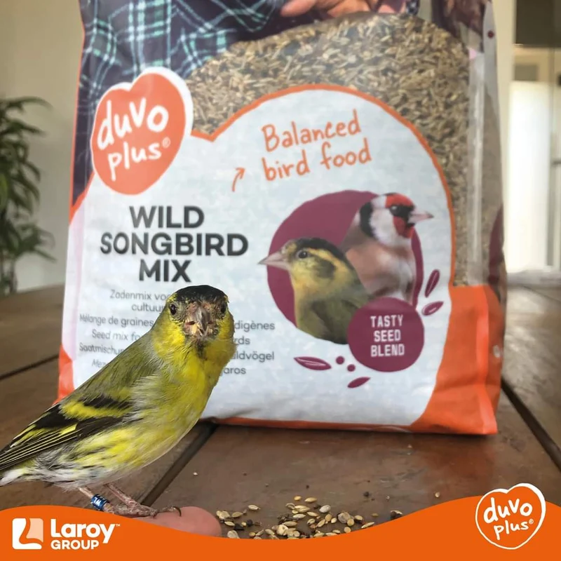 Tarin & Chardonnerets Special Mix 15kg Duvo+