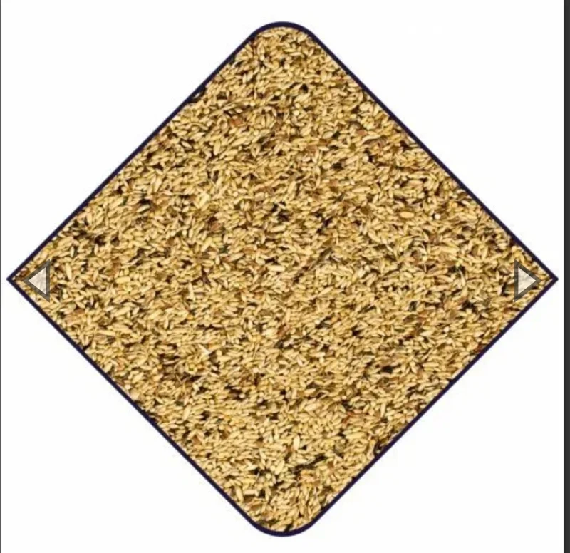 Expert Premium Graines Sauvages 15kg - Duvo+