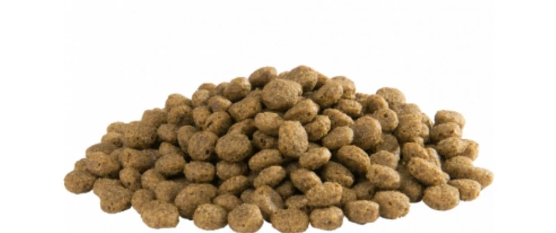 Country's Best - Granulés flottants polyvalents 4 mm - Pour ibis et autres échassiers à partir de 4 semaines - 15 kg - Versele Laga