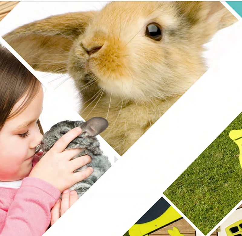 Poulailler Happy Bunny
