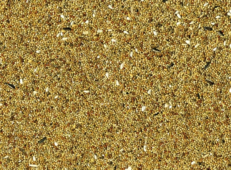 Vadigran Grandes Perruches Basic 20kg