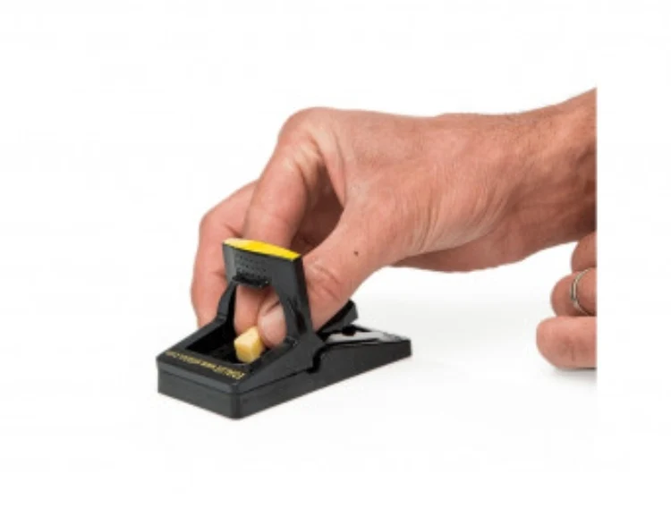 Edialux Souricière 2 pcs