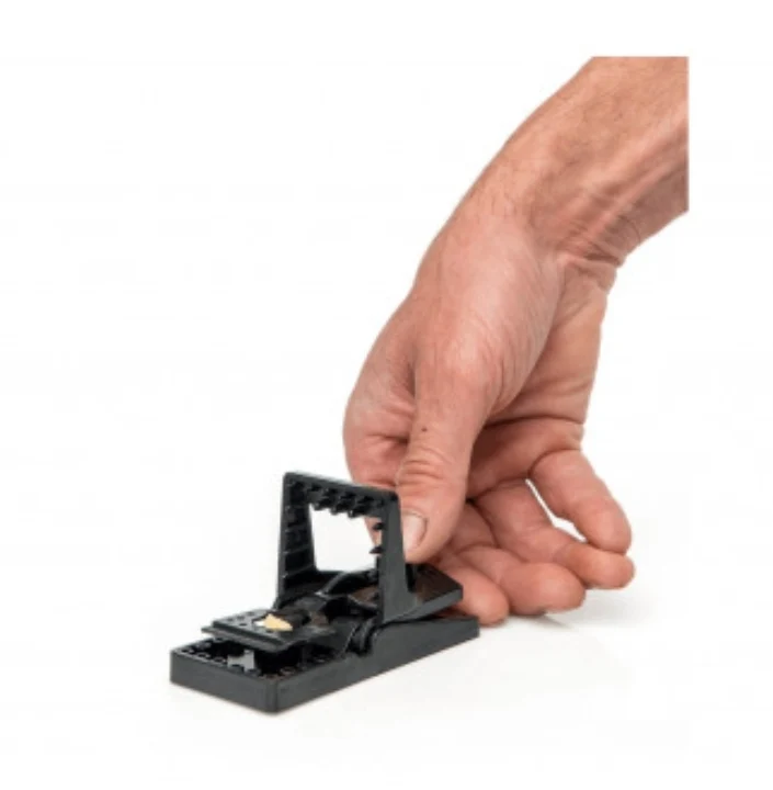 Edialux Souricière 2 pcs