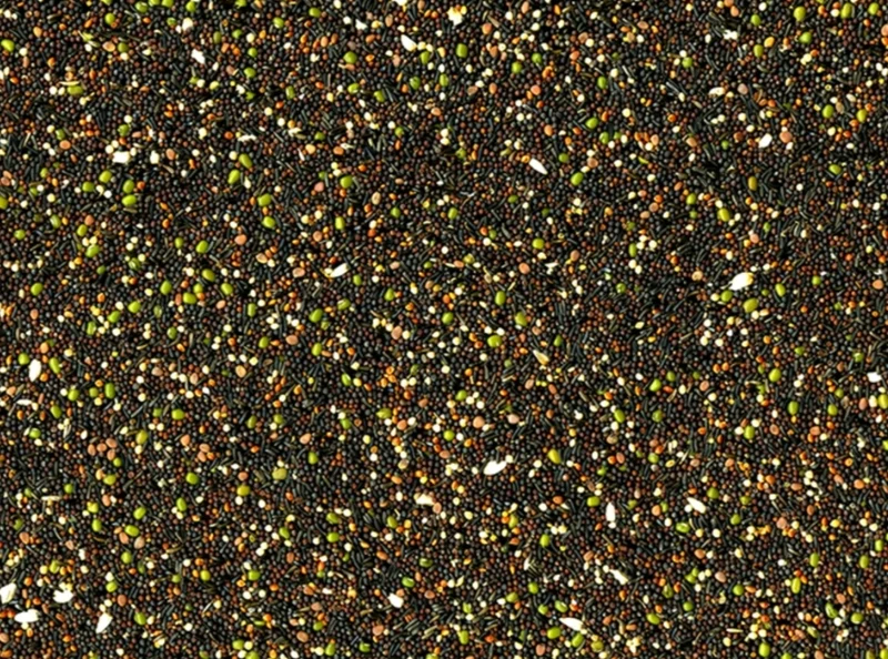 Graines germées originales 1 kg - Vadigran