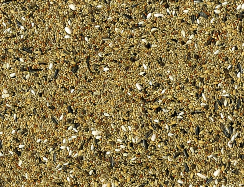 Vadigran Grandes Perruches Original 20kg