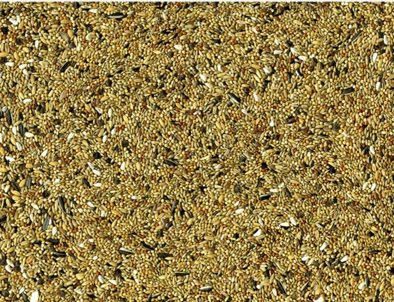 Vadigran Grandes Perruches 4kg