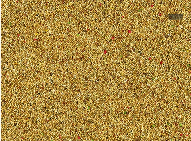 Vadigran Perruches Couleur 20kg