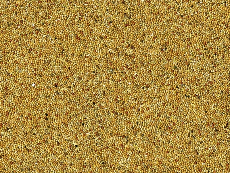 Vadigran Perruches Basic 20kg