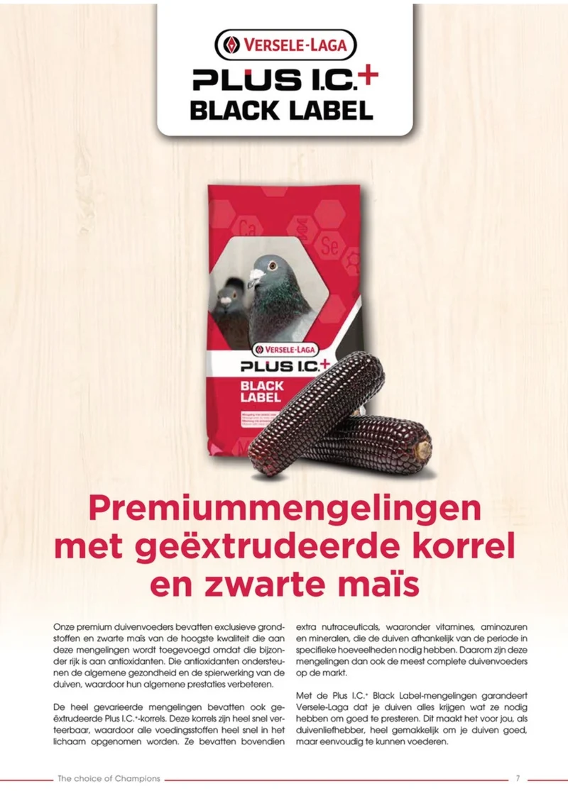 Superstar étiquette noire 20kg - Versele Laga