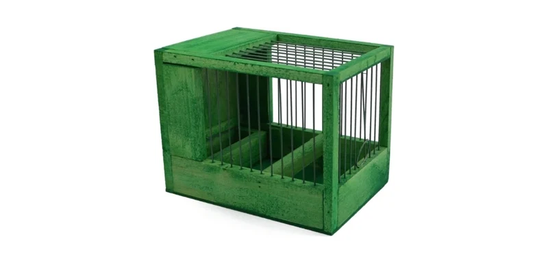 Petite cage verte 21x15.5x14.5cm