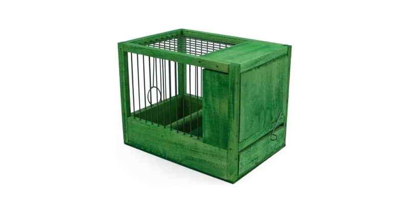 Petite cage verte 21x15.5x14.5cm