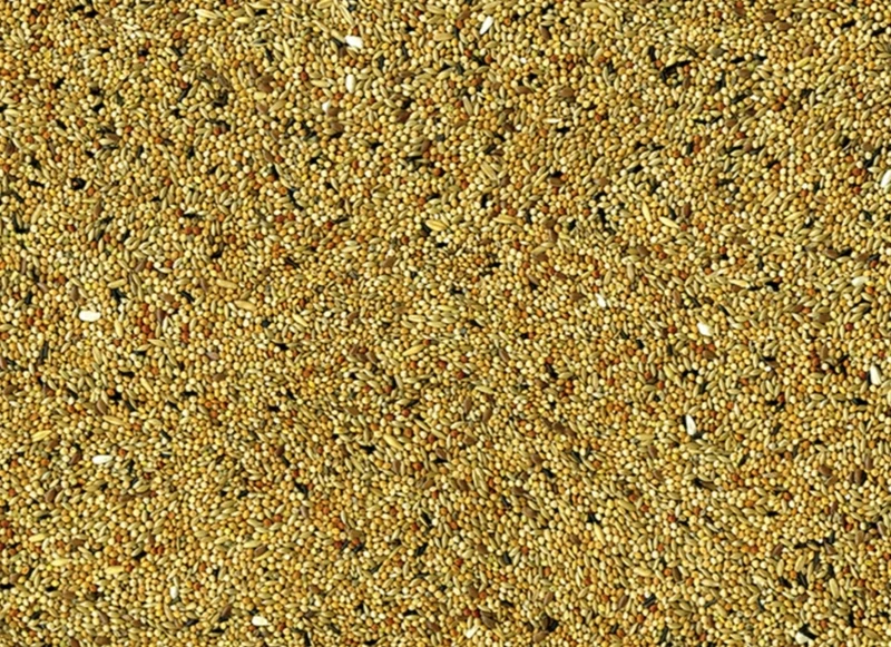 Perruches Vadigran 4kg