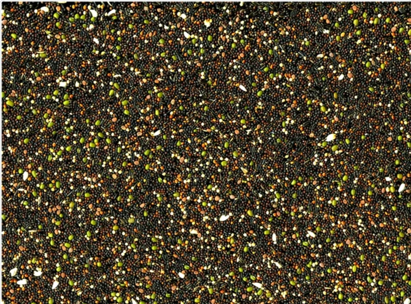 VADIGRAN GRAINES DE GERME ORIGINAL 20 KG
