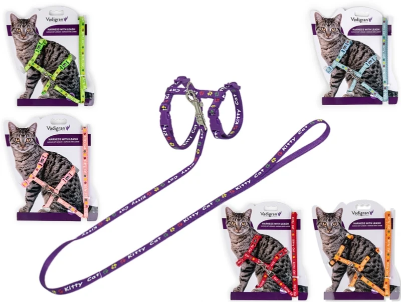 HARNAIS+LAISSE KITTY CAT VIOLET 15-22/30-32CM+120CM