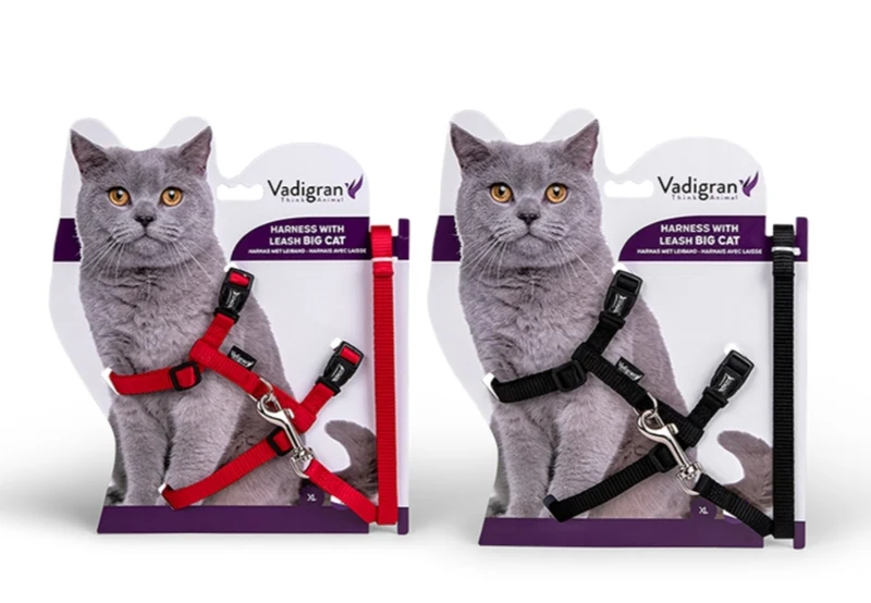 HARNAIS+LAISSE BIG CAT NOIR 34/57CM+120CM