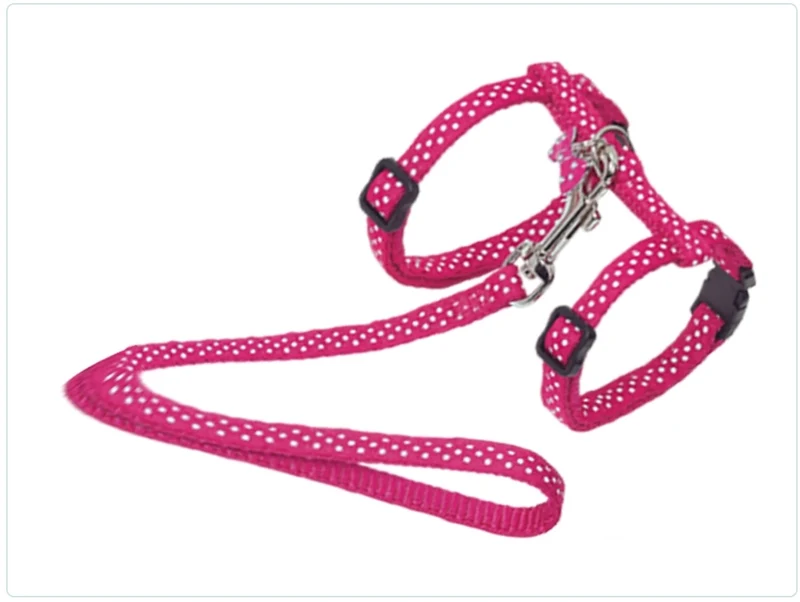 HARNAIS+LAISSE POIS FUCHSIA 15-22/30-32CM+120CM