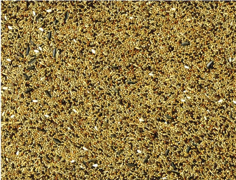 Volière Vadigran ORIGINAL 20 KG
