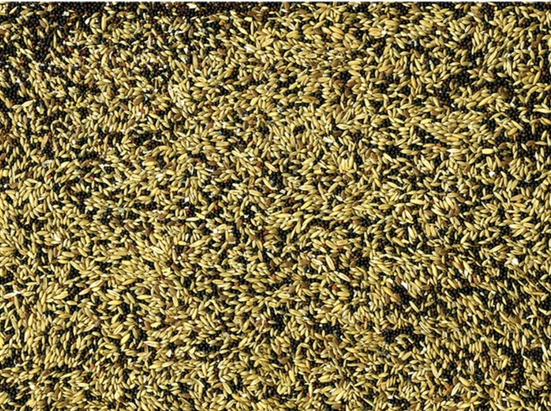 VADIGRAN CANARIES BASIC 20 KG