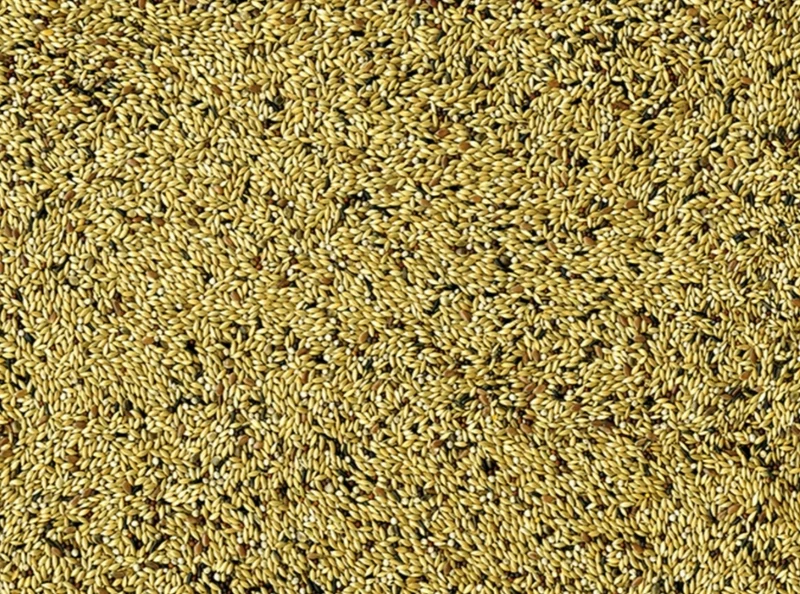 VADIGRAN CANARIES LIGHT 20 KG