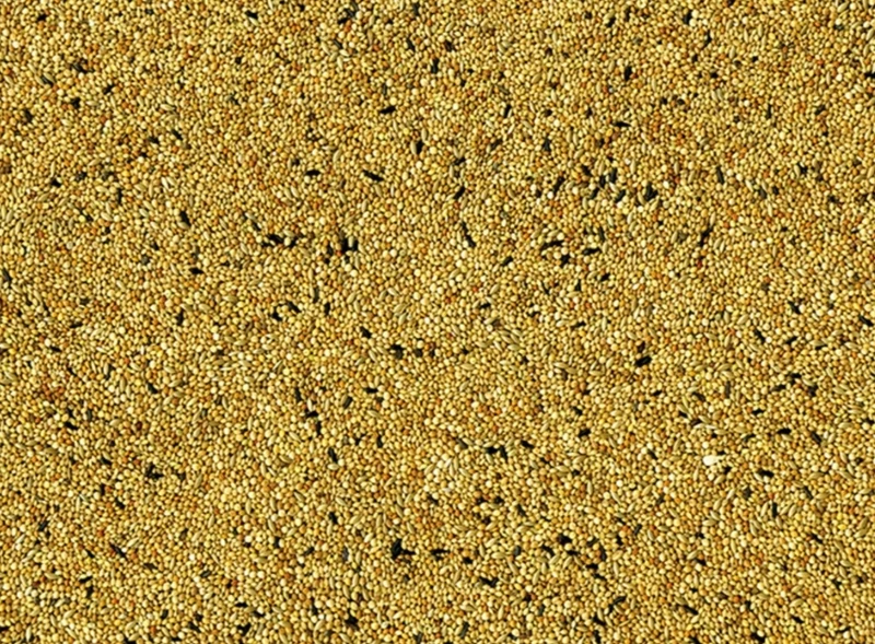 Vadigran Oiseaux Tropicaux Original 20 KG