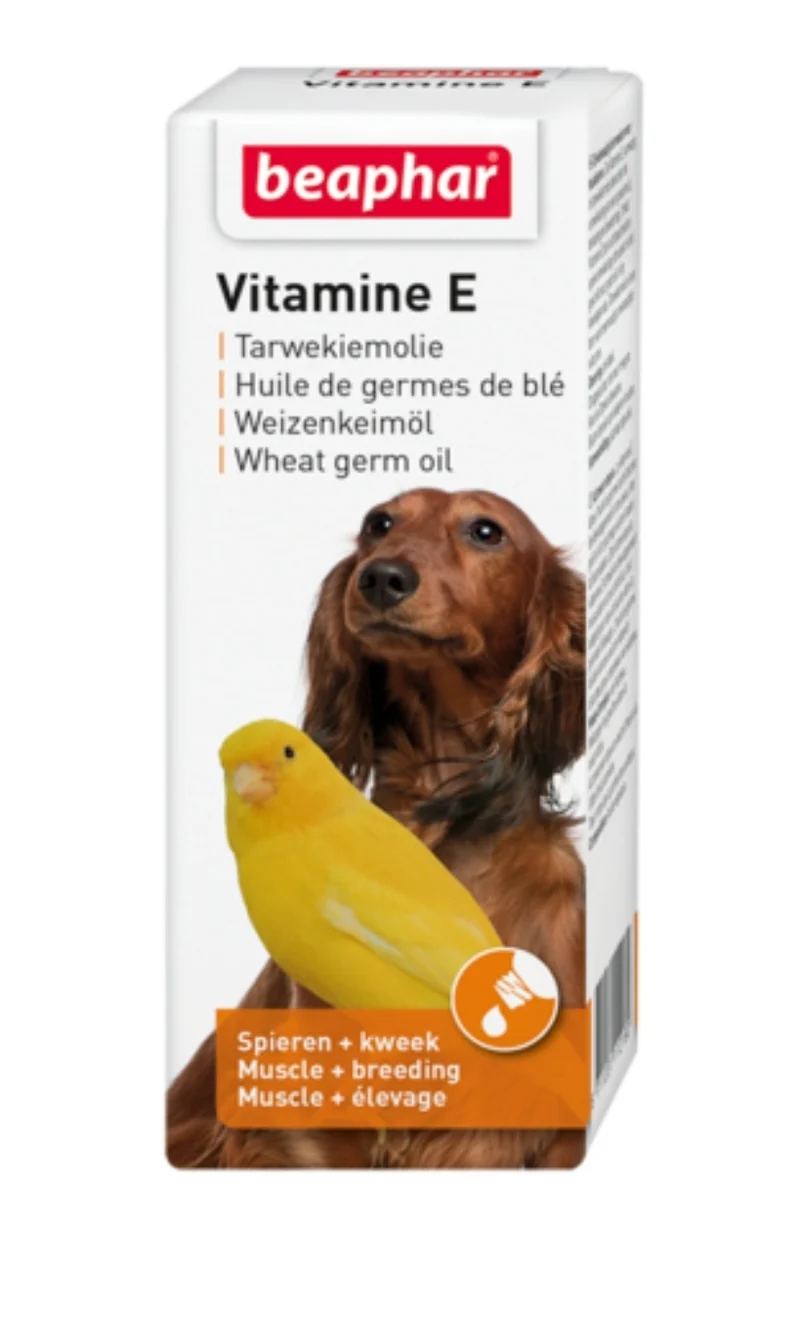 Huile de Germe de Blé (Vitamine E) 30ml