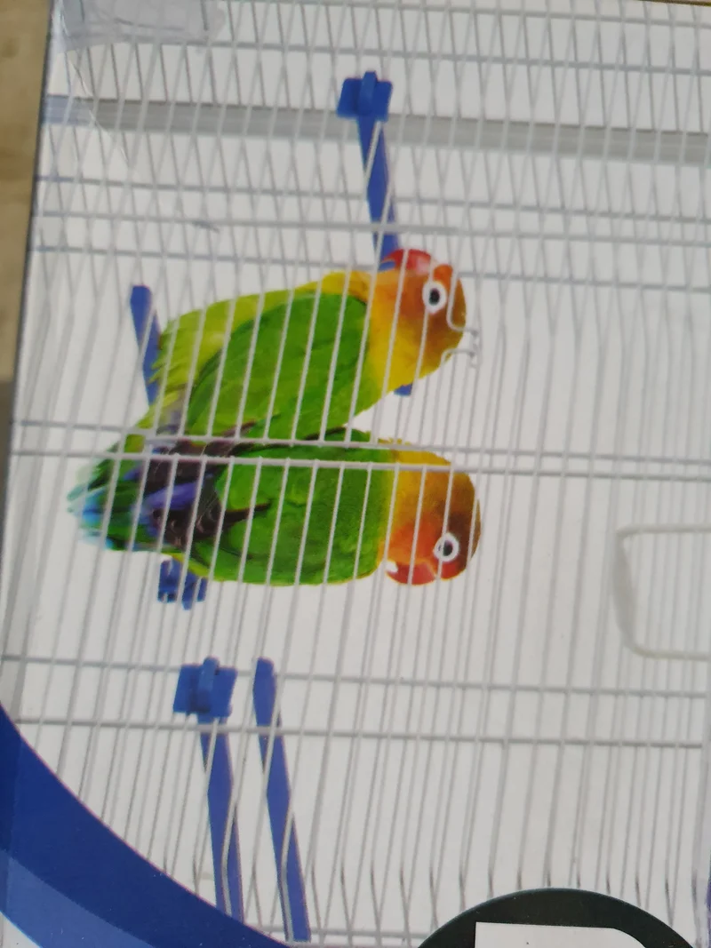 Cage à oiseaux Anita 53 x 32 x 59