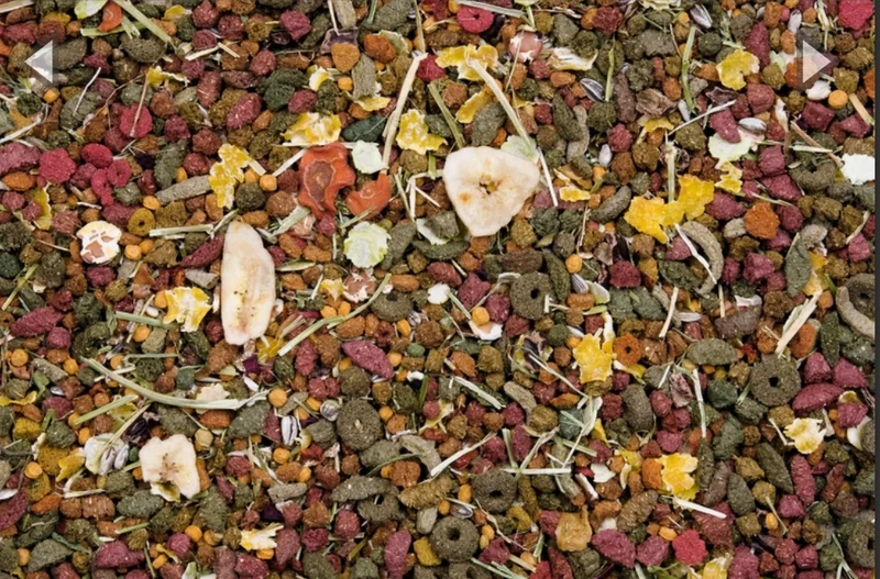 Nourriture Originale Nature pour Lapins Cuni - Versele Laga