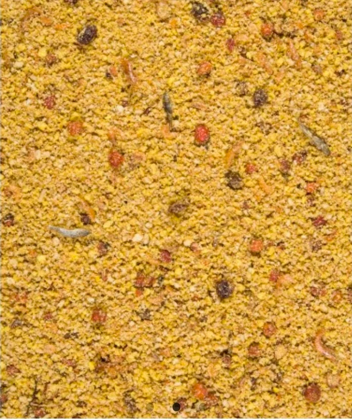 Pâtée Nutribird Gold pour grandes perruches et perroquets 1 kg (avec fermeture éclair)