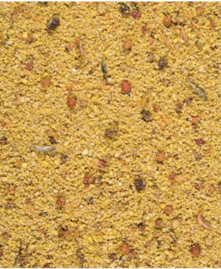 Nutribird Gold Patee Grandes Perruches & Perroquets 5kg (Orlux nourriture aux œufs prête à l'emploi grandes perruches & perroquets)