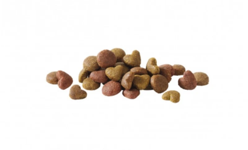 Saumon adulte Happy Life 2 x 2.5 kg - Versele Laga