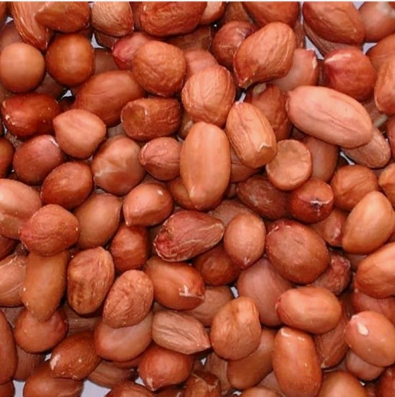 Cacahuètes/arachides pelées 80/100 25kg - Versele Laga